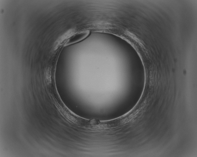 X0000087631451200705031433
