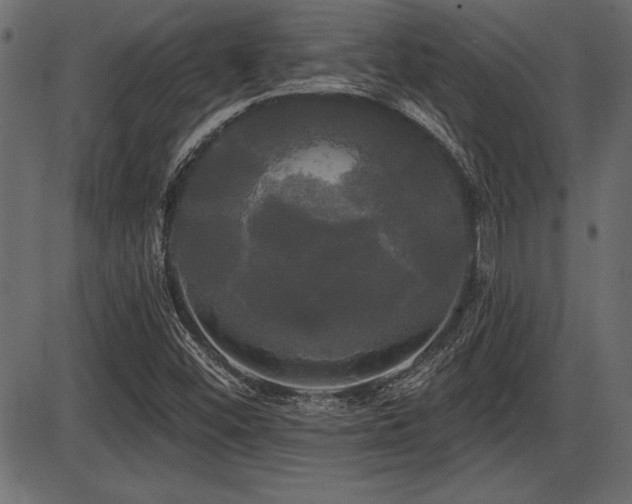 X0000087631452200705031433
