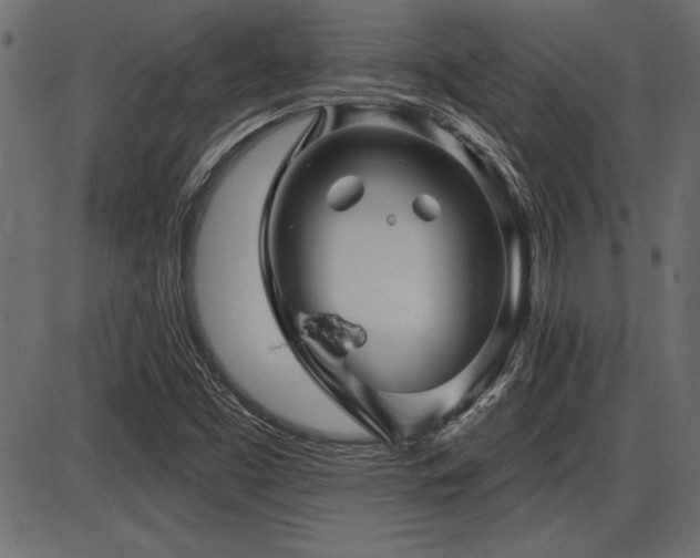 X0000087631453200705031433