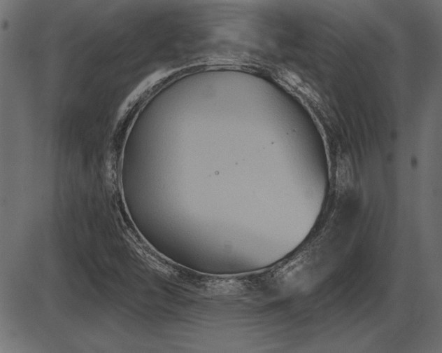 X0000087631454200705031433