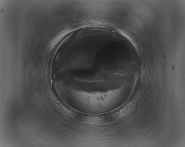 X0000087631455200705031433