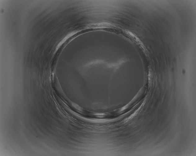 X0000087631457200705031433