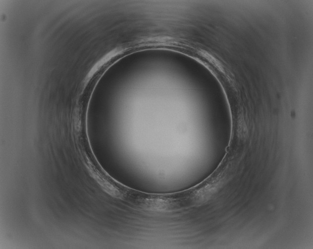 X0000087631458200705031433