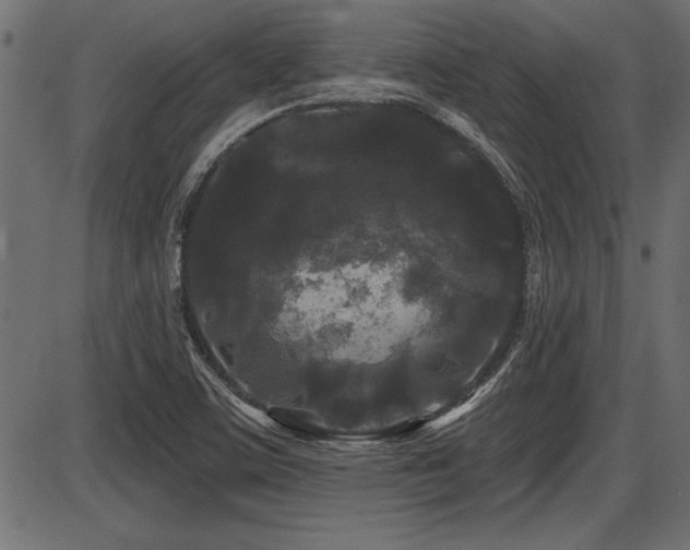 X0000087631459200705031433