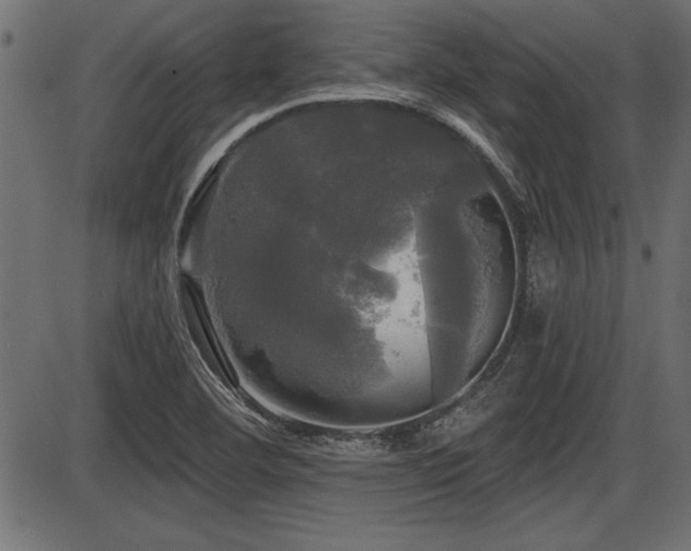 X0000087631460200705031433