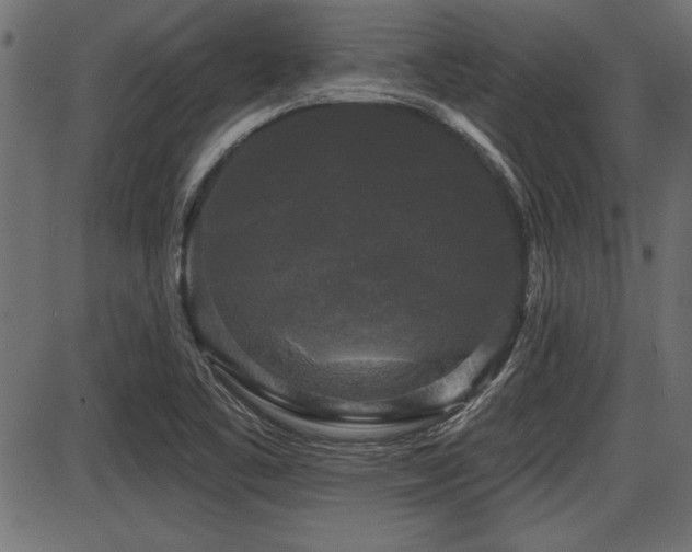 X0000087631461200705031433