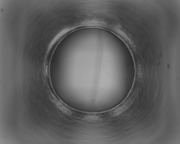 X0000087631462200705031433