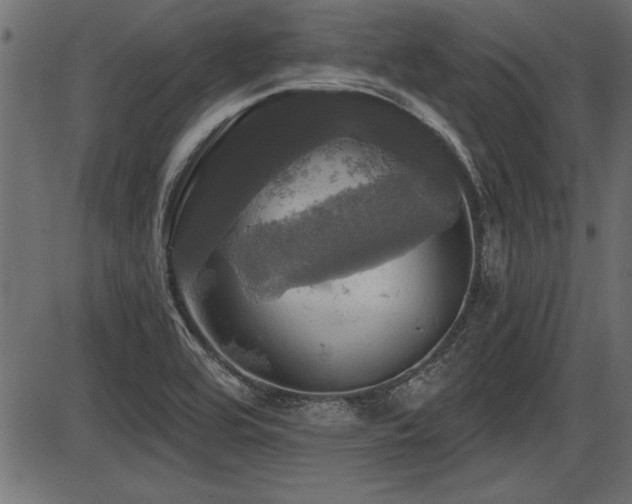 X0000087631464200705031433