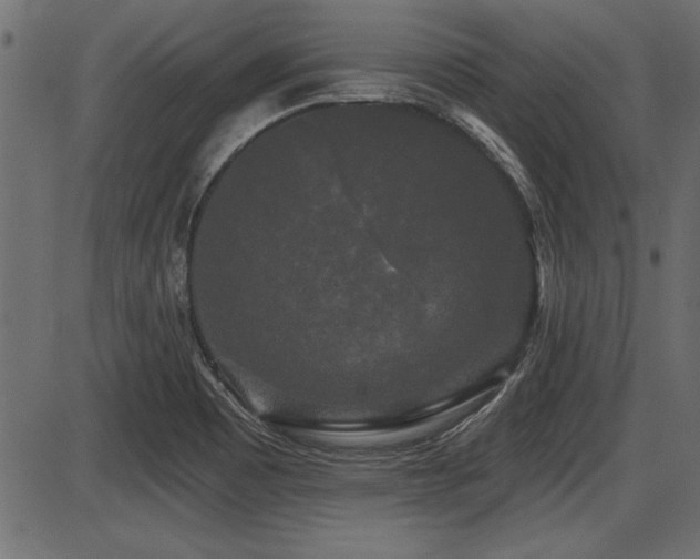 X0000087631465200705031433