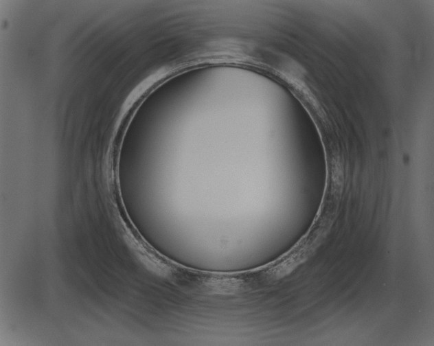 X0000087631466200705031433