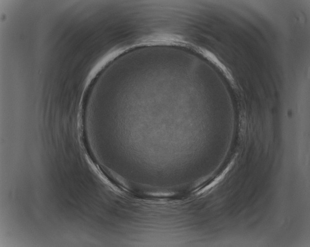 X0000087631469200705031433