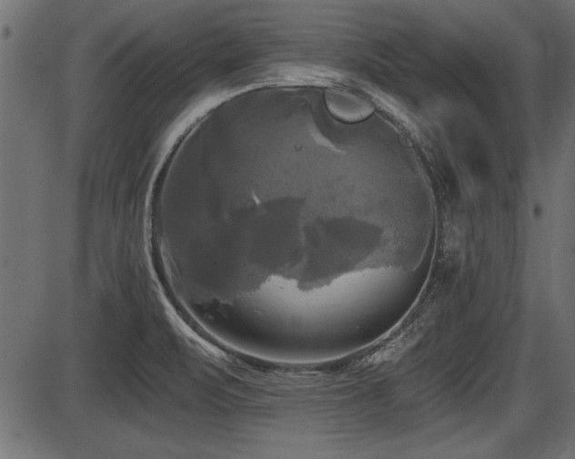 X0000087631471200705031433