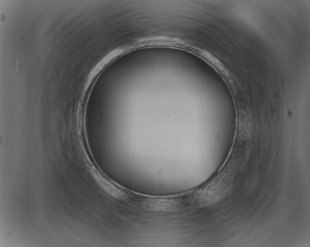 X0000087631474200705031433