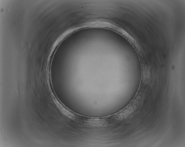 X0000087631478200705031433