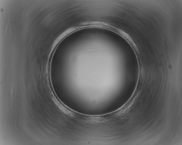 X0000087631482200705031433