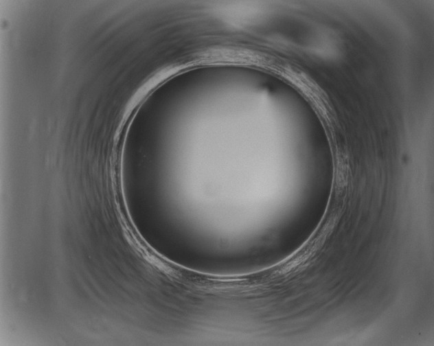 X0000087631486200705031433