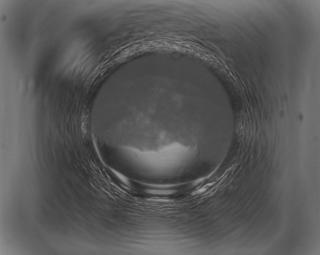 X0000087631490200705031432