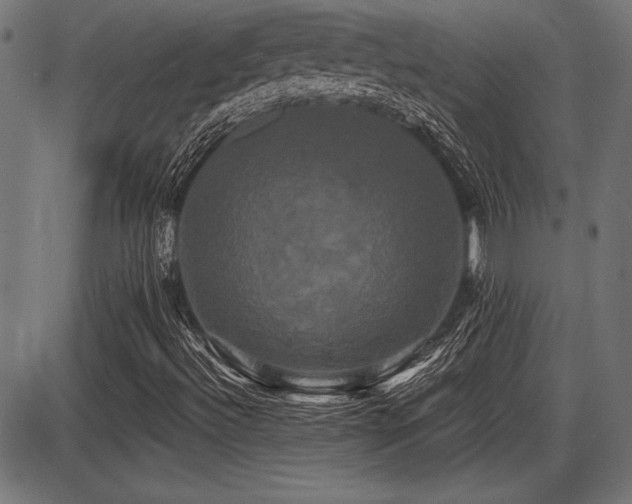 X0000087631492200705031432