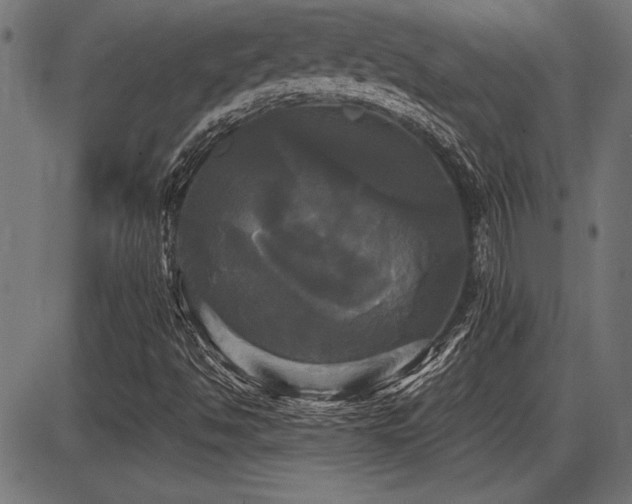 X0000087631494200705031432