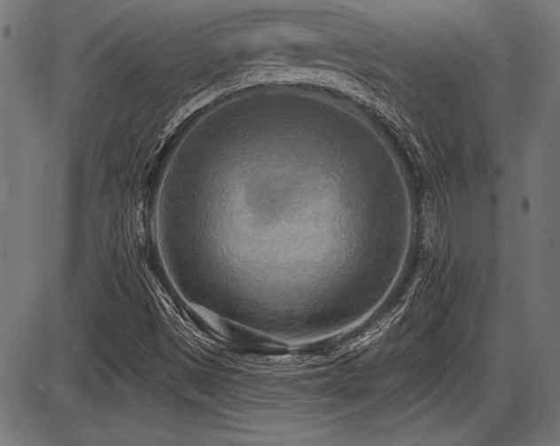 X0000087631497200705031432