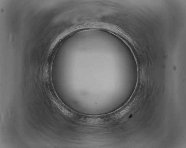 X0000087631498200705031432