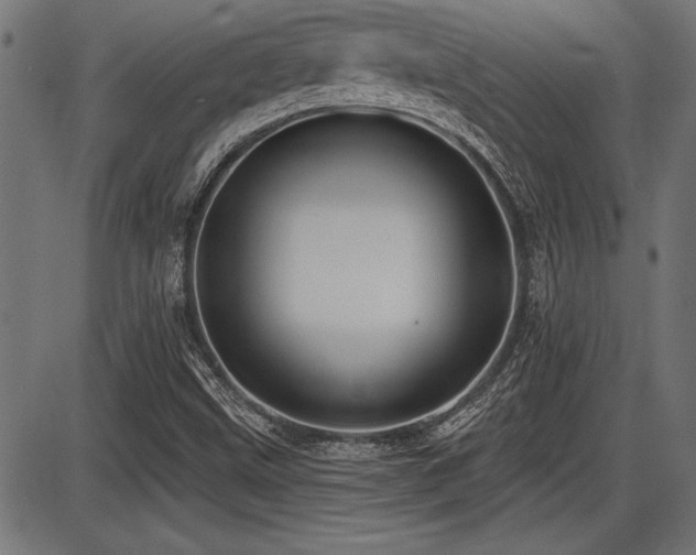X0000087631499200705031432