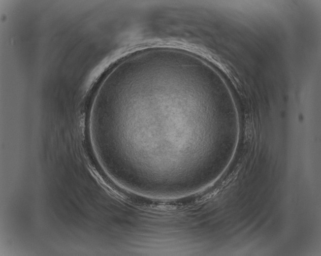 X0000087631503200705031432