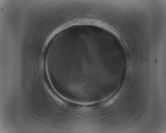 X0000087631506200705031432