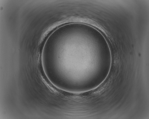 X0000087631507200705031432