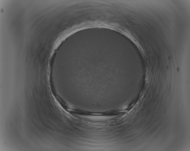X0000087631508200705031432