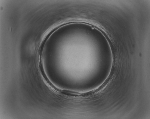 X0000087631511200705031432