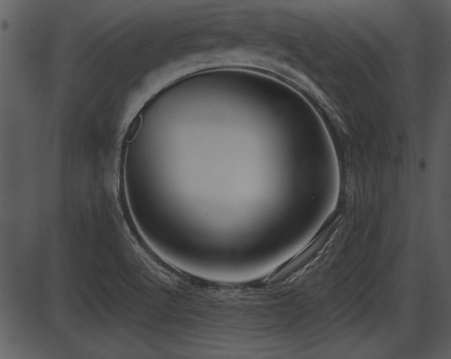 X0000087631512200705031432