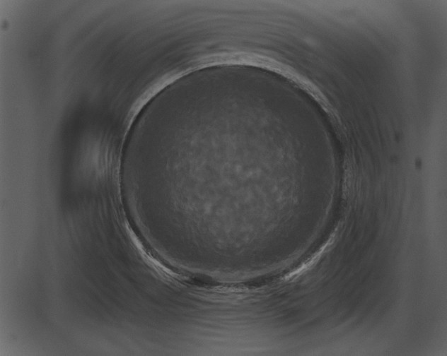 X0000087631513200705031432