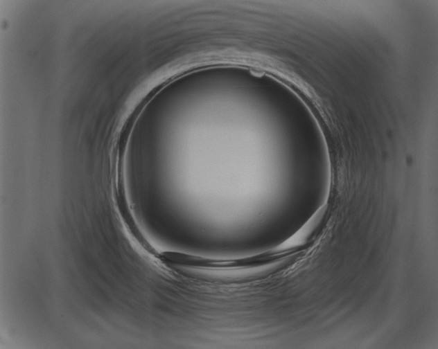 X0000087631515200705031432