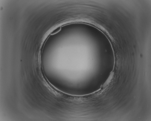 X0000087631516200705031432