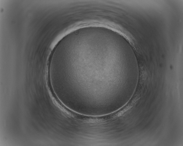 X0000087631518200705031432