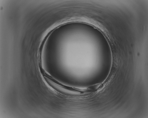 X0000087631519200705031432