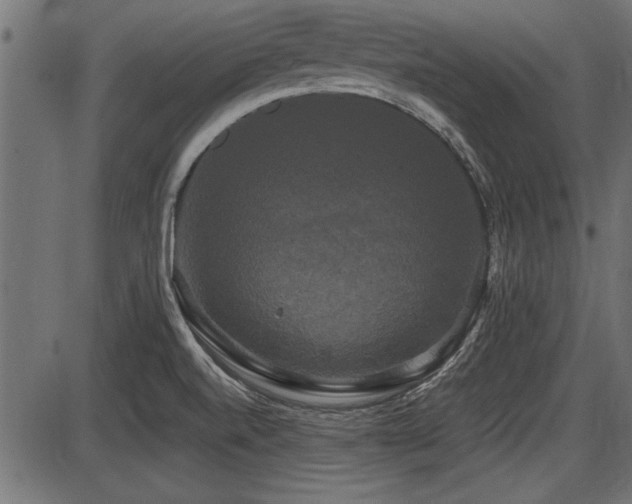 X0000087631520200705031432