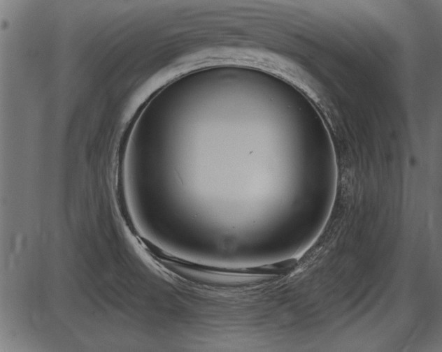 X0000087631523200705031433
