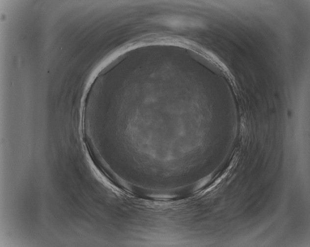 X0000087631528200705031433