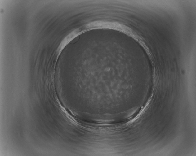 X0000087631529200705031433