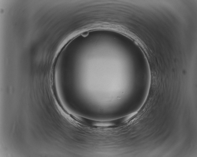 X0000087631531200705031433
