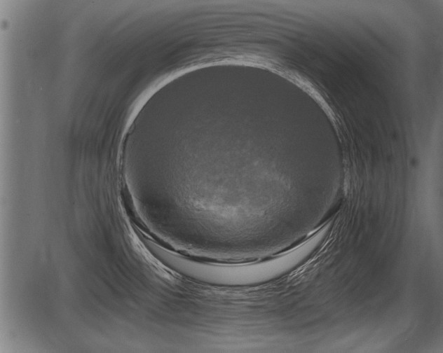 X0000087631532200705031433