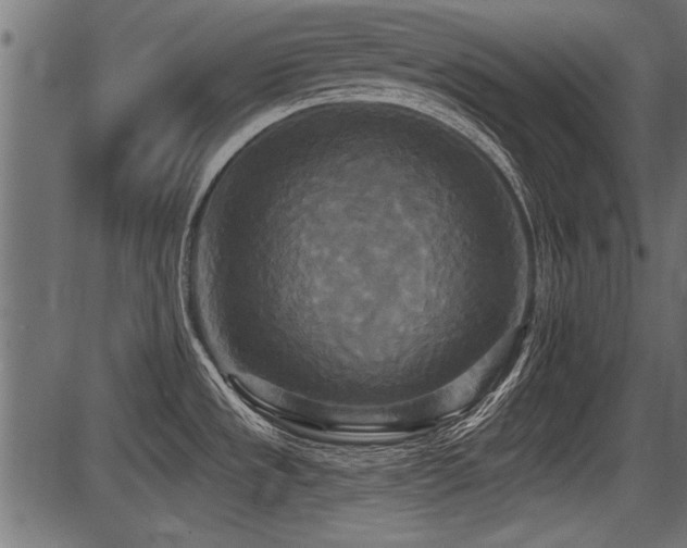 X0000087631533200705031433