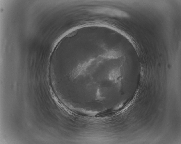 X0000087631534200705031433