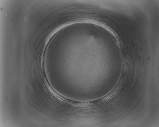X0000087631535200705031433