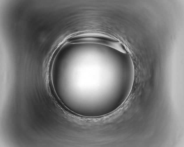 X0000087630002200705101037