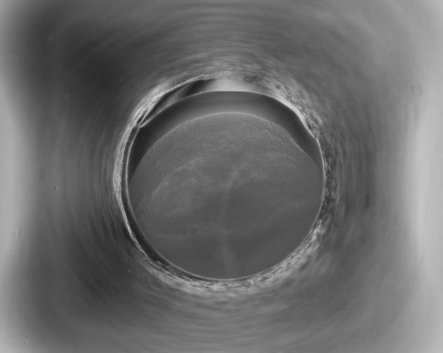 X0000087630003200705101037