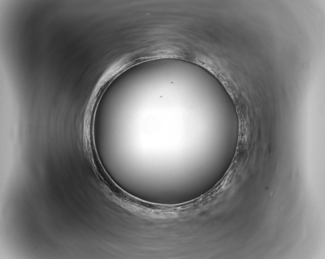 X0000087630004200705101037