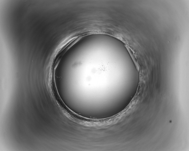 X0000087630005200705101037